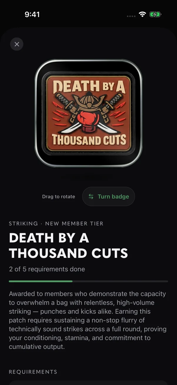 The top of the page: the patch, the controls for turning it over, the patch name and how many requirements you've done.