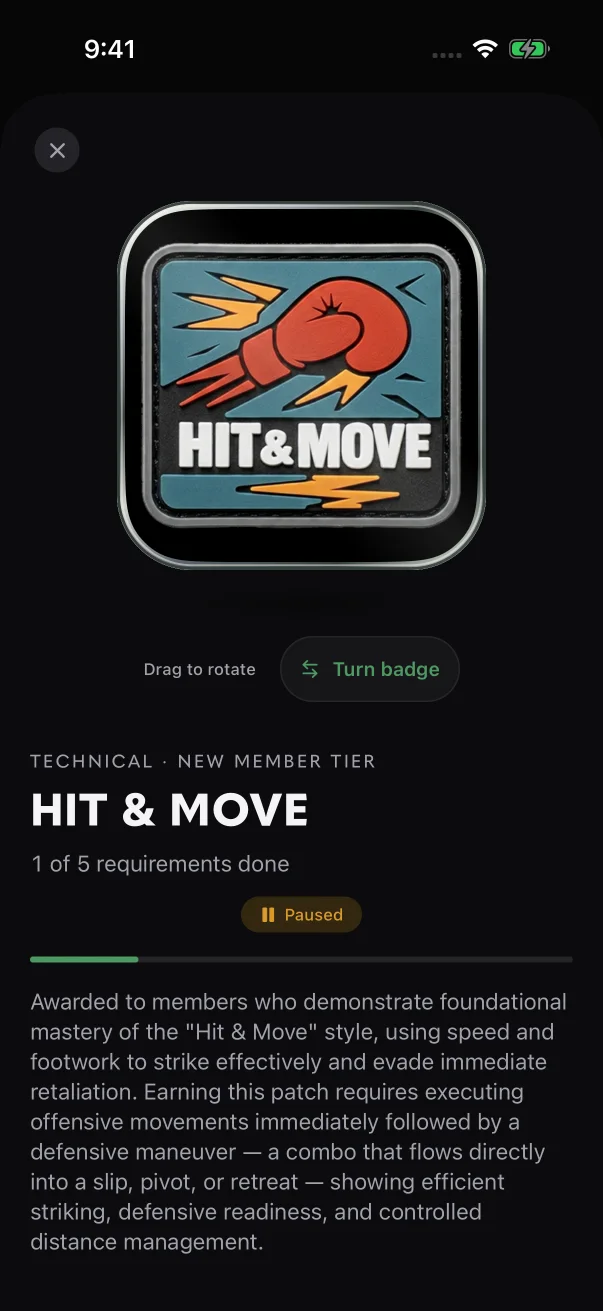 A paused patch keeps its progress bar and shows an amber "Paused" chip.
